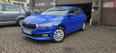 Gebrauchte Skoda Fabia