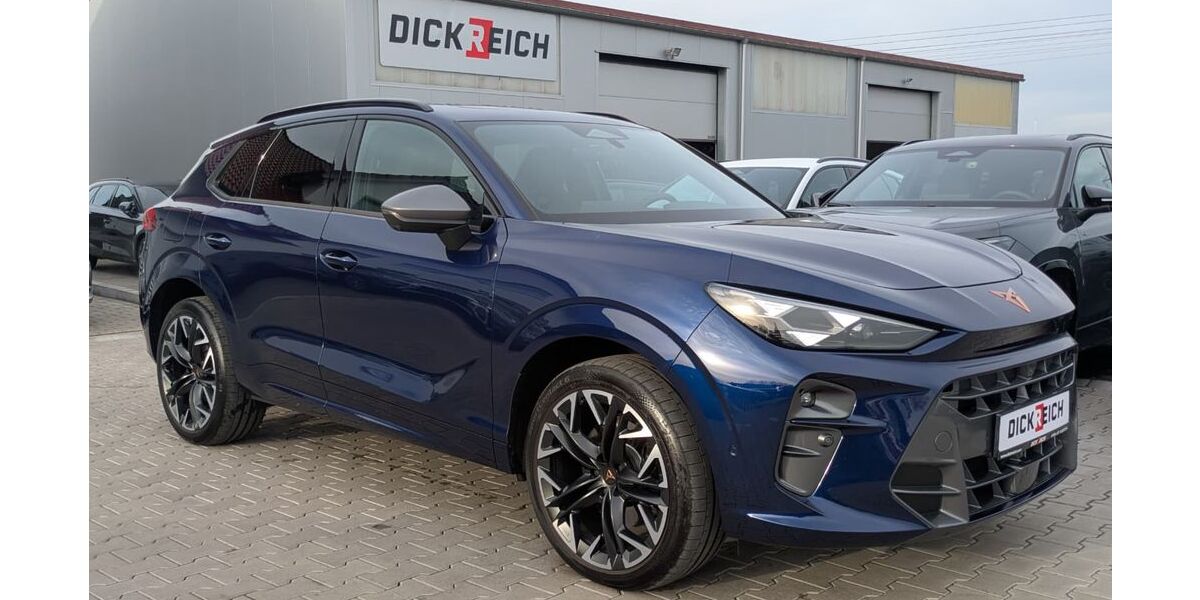 Cupra Terramar 14.856 km 39.450 &euro; Burghaun 36151