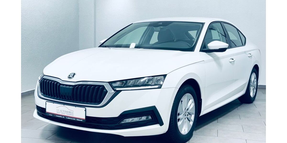 Skoda Octavia 48.500 km 19.980 &euro; Eichenzell 36124