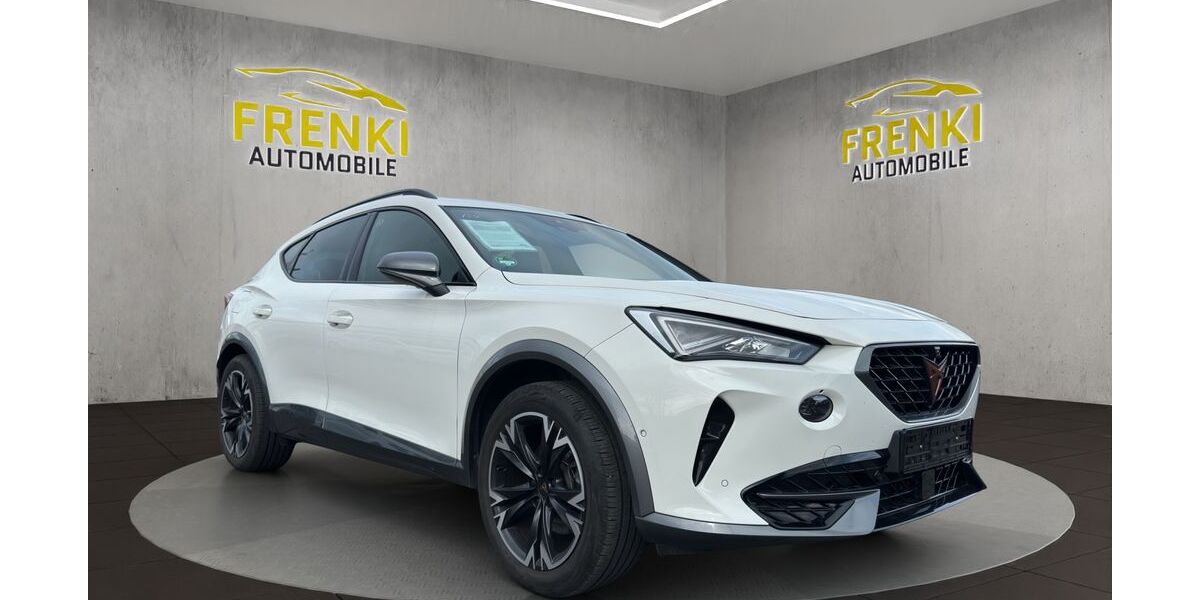 Cupra Formentor 71.800 km 21.999 &euro; Fulda 36043